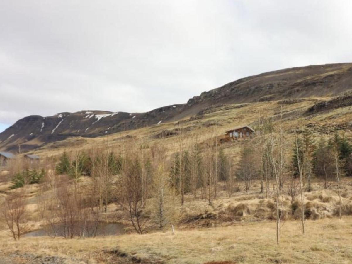 Icelandic Lake House Άκρανες Εξωτερικό φωτογραφία